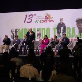 post_230727_VMVA_ANEBERRIES_JALISCO-4