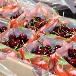 FIC-R-Fruta-UCM-2025-1-r7g293tlg38p601tqjsau09u6cjyae2fmec05178sc