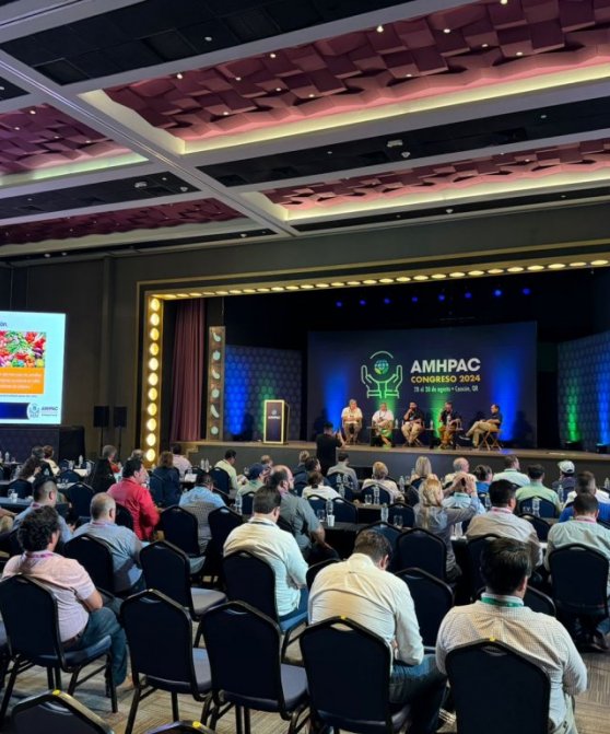 WhatsApp Image 2024-08-29 at 2.45.42 PM (1)